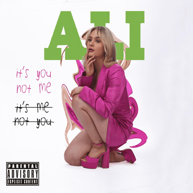 It's You Not Me cover art