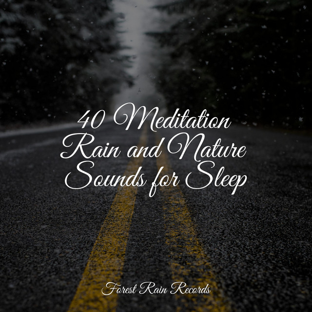 40 Meditation Rain and Nature Sounds for Sleep - Album by Spa & Spa ...