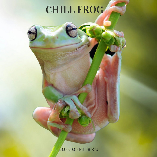 Chill Frog