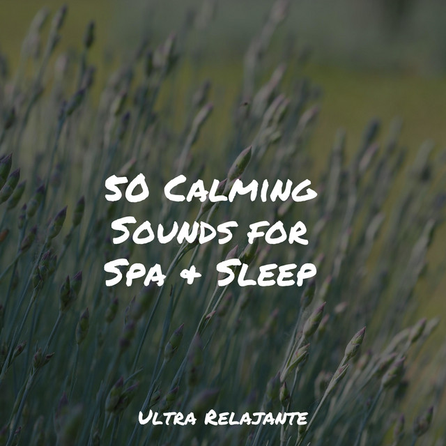 50 Calming Sounds for Spa & Sleep - Album by Happy Baby Lullaby ...