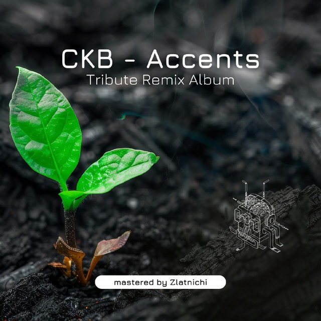 accents tribute remix album cover