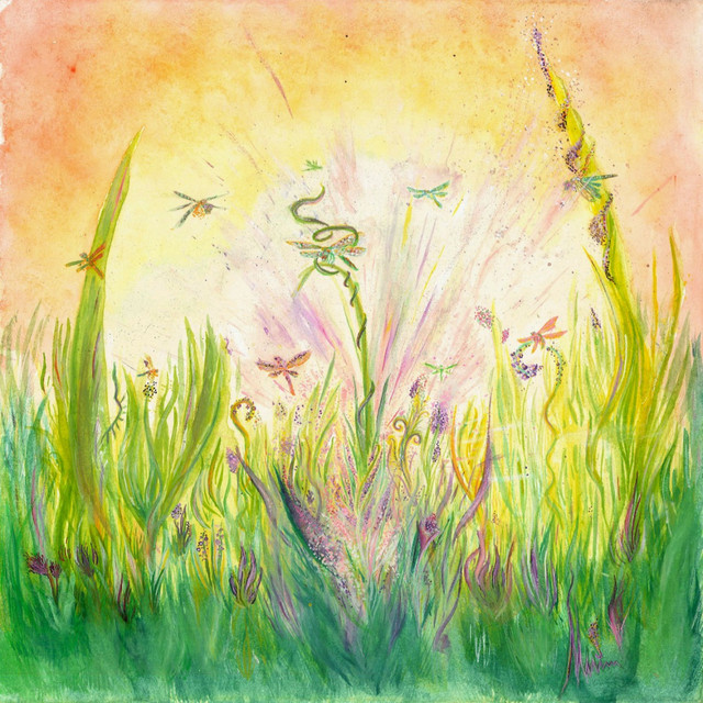 Libélula cover art