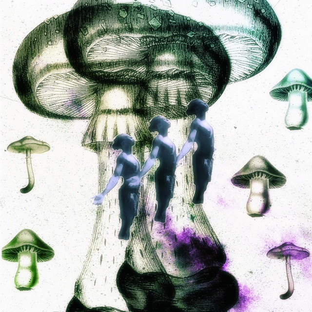 Lotus (Deluxe) cover art