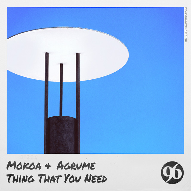 Thing That You Need - Radio Edit