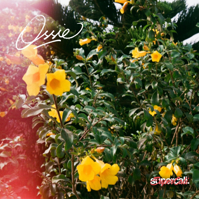 To Make You Smile cover art