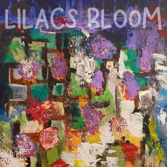 lilacs bloom