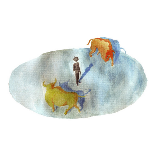 Bullfighting in Brooklyn cover art