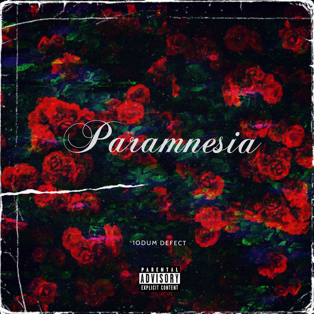Paramnesia cover art
