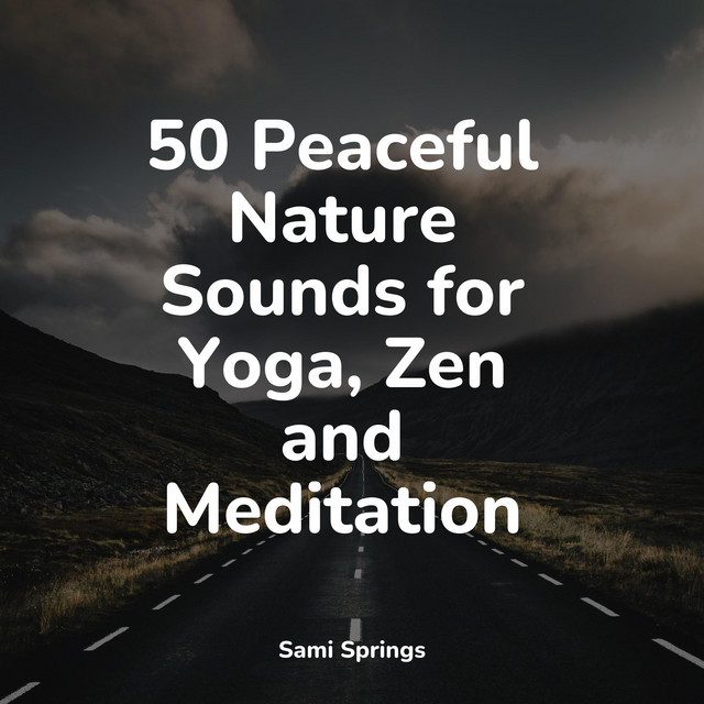 50 Peaceful Nature Sounds for Yoga, Zen and Meditation - Album by ...