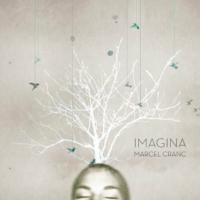 Imagina cover art