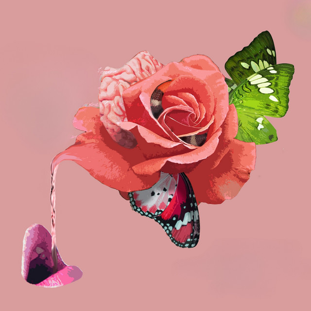 Sip from a Rose