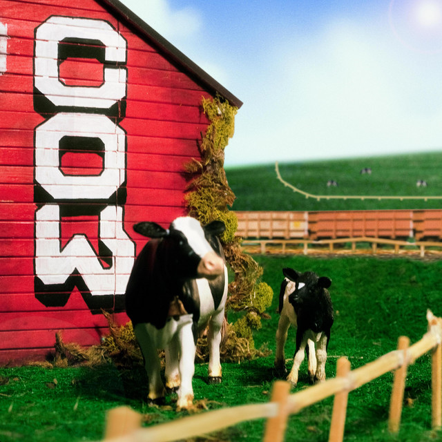 cow