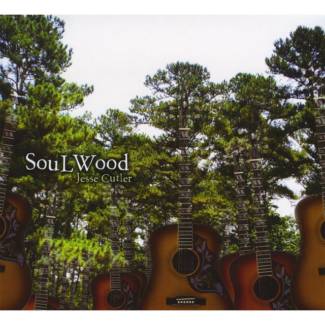 Soul Wood cover art