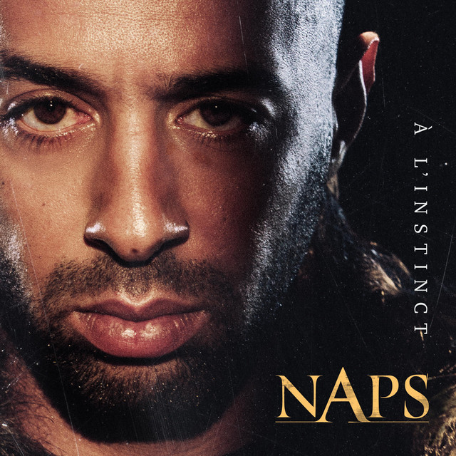 À l'instinct cover art