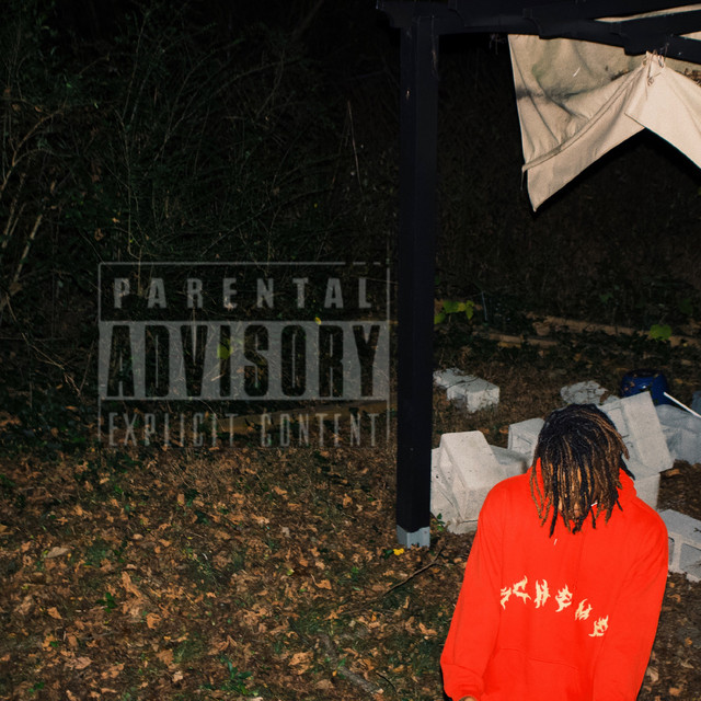 Mixed Emotions cover art