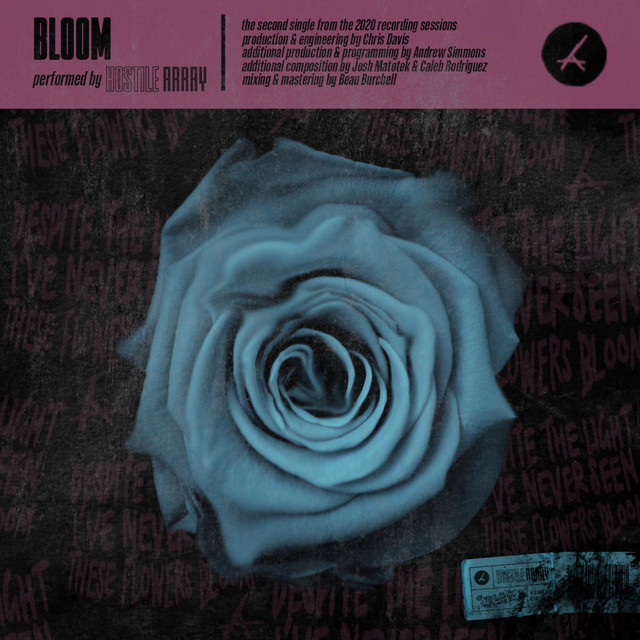 Bloom cover art