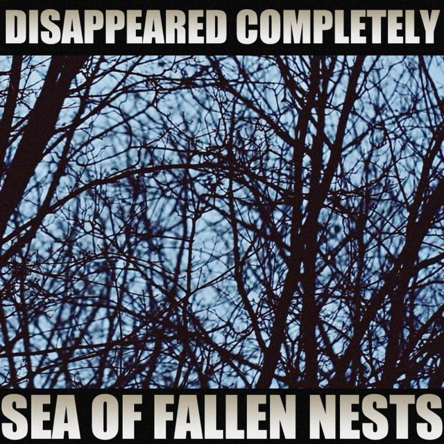 Sea of Fallen Nests cover art
