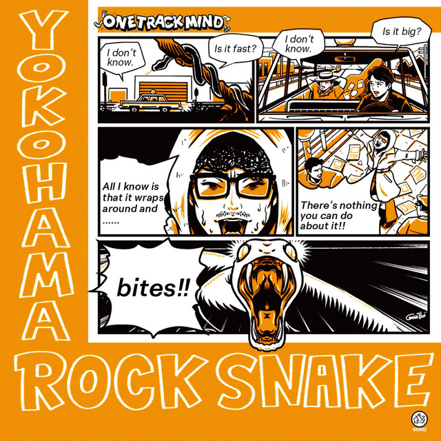 YOKOHAMA ROCK SNAKE cover