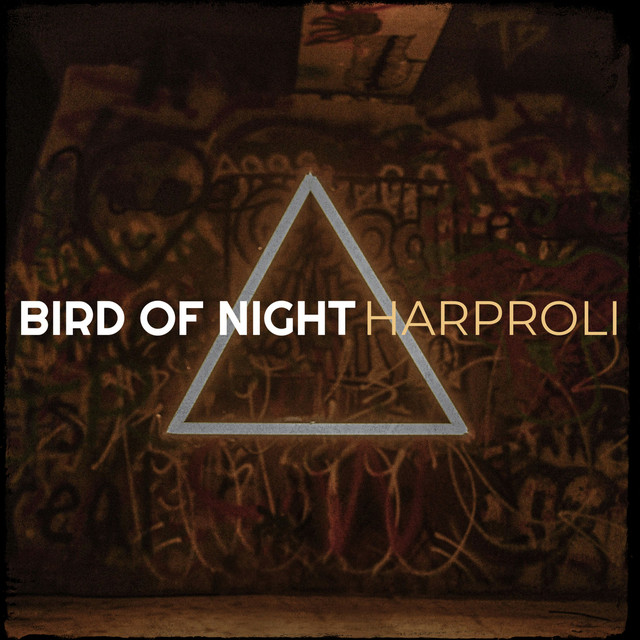 Bird of Night cover art