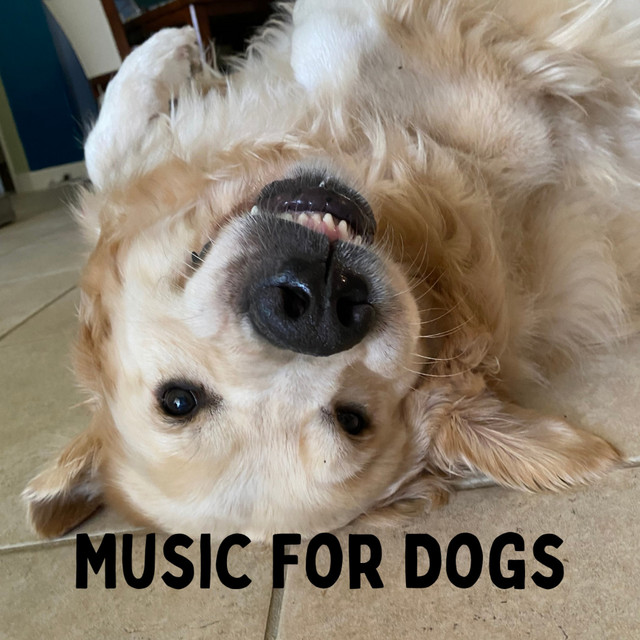 Music For Dogs - Album by Music For Dogs | Spotify