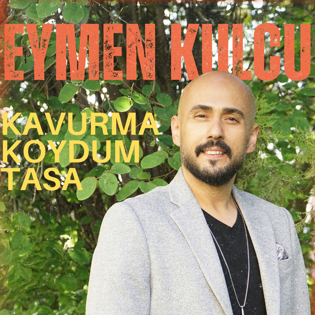 Kavurma Koydum Tasa