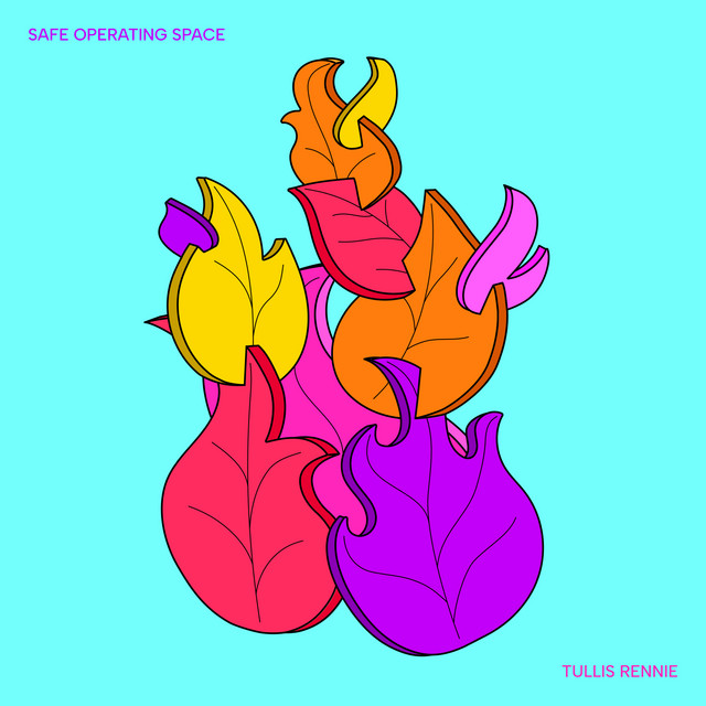 Safe Operating Space cover art