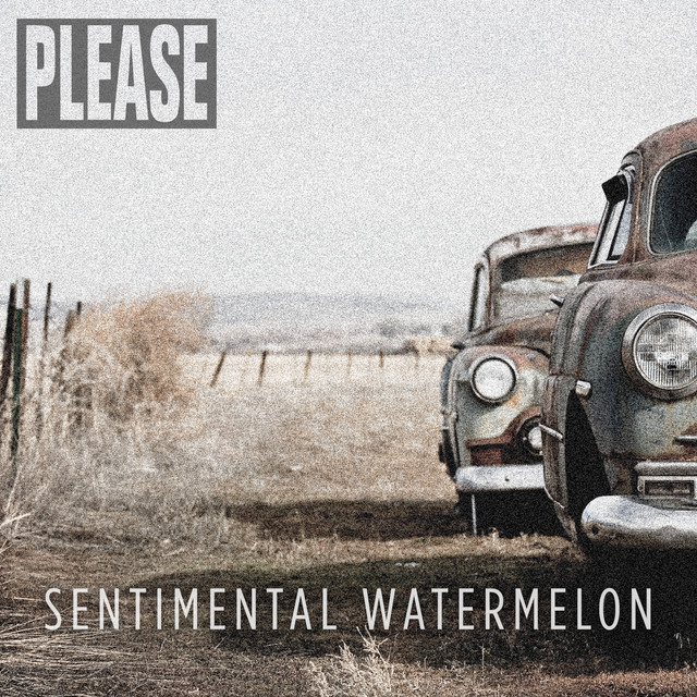 Sentimental Watermelon cover art