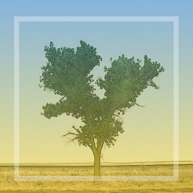 Here & Now cover art