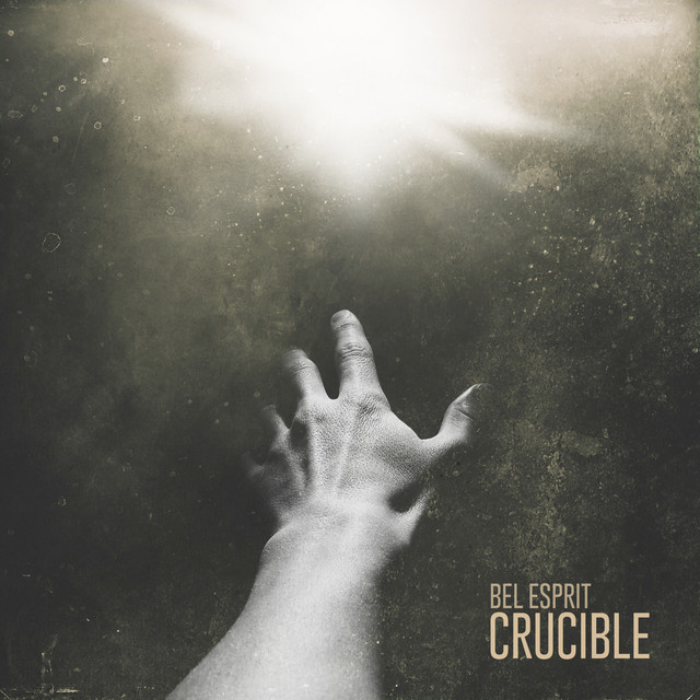 Crucible cover