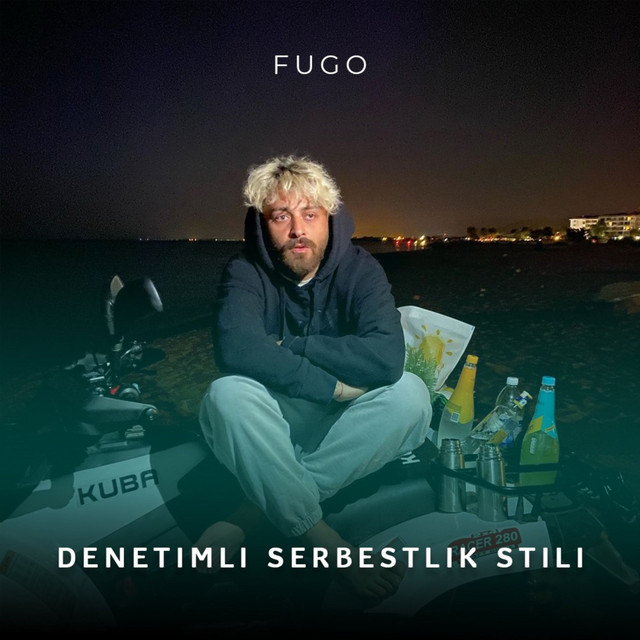 Denetimli Serbestlik Stili cover art