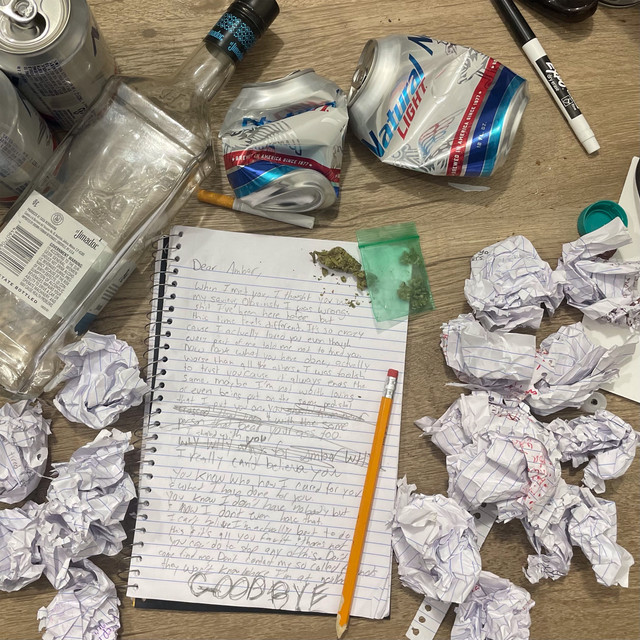 Dear Amber cover art