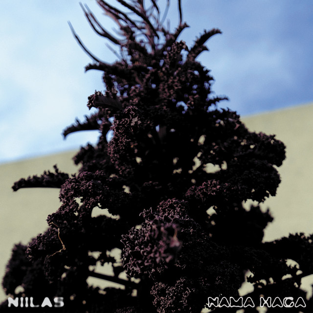 Nama Haga cover art