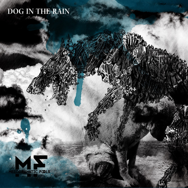 Dog In The Rain cover