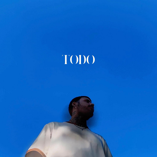 todo cover art