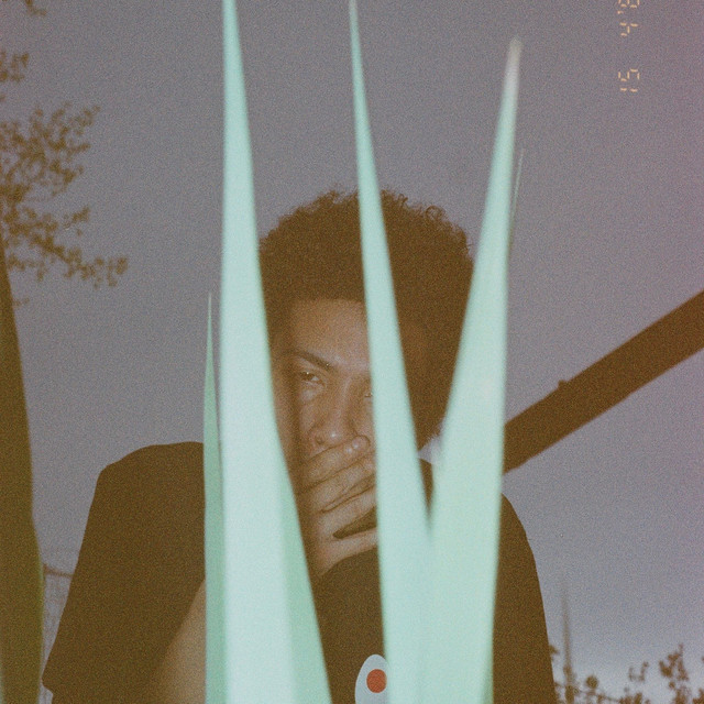 WOW cover art