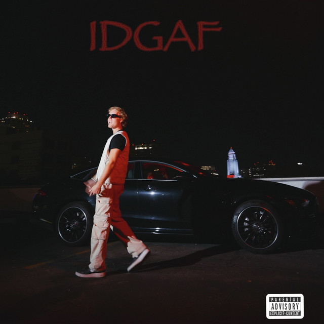 IDGAF cover art