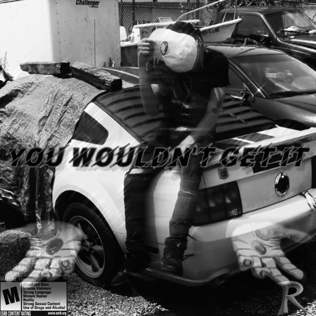 You Wouldn't Get It - Album by $lade | Spotify