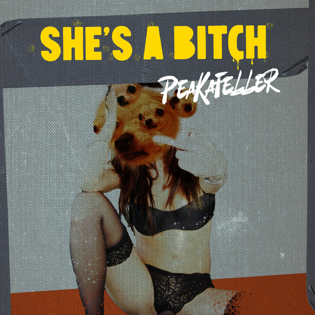 She's a bitch cover