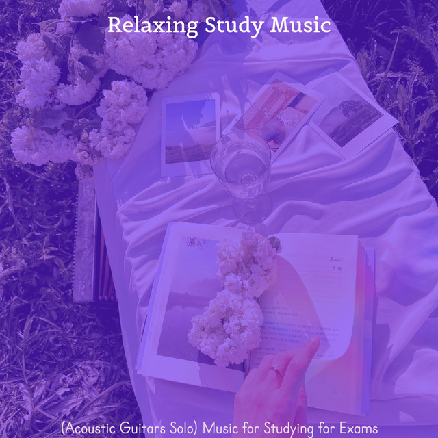 (Acoustic Guitars Solo) Music for Studying for Exams cover art