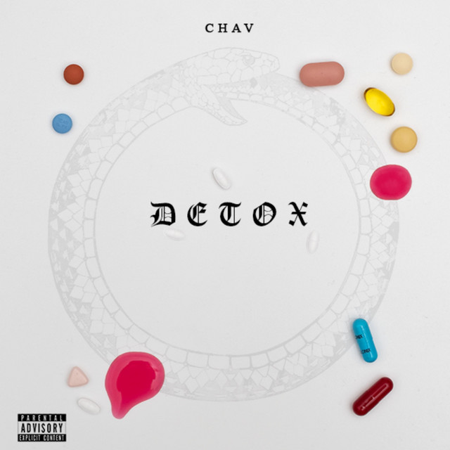 Detox cover art