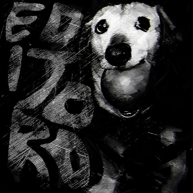 EDITORO FUNK - Slowed+Reverb