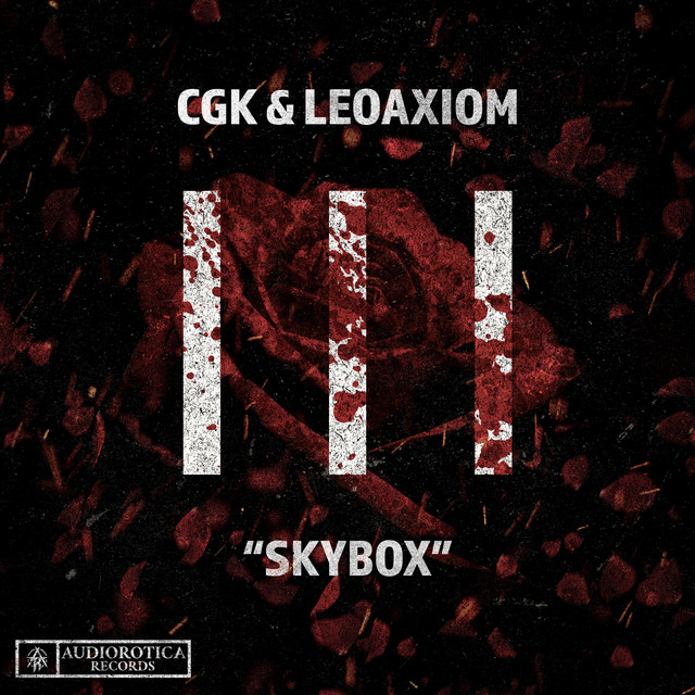 Skybox