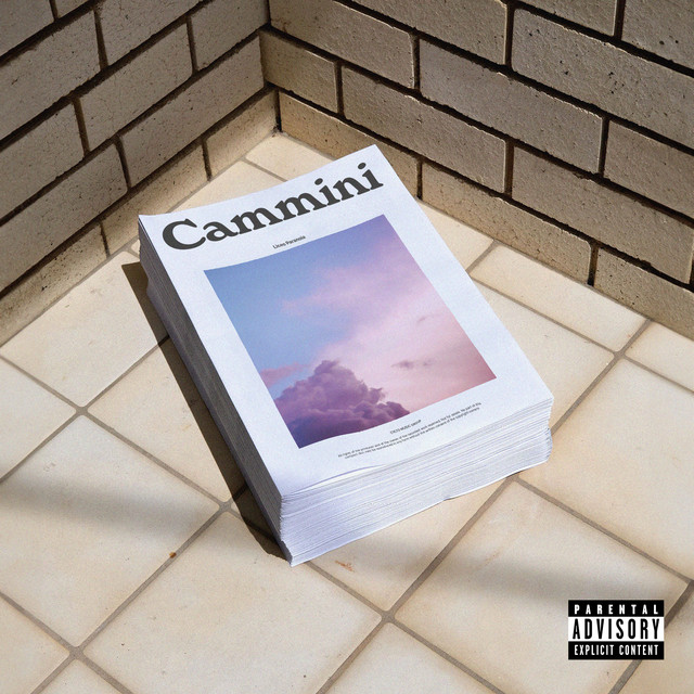 Cammini cover art