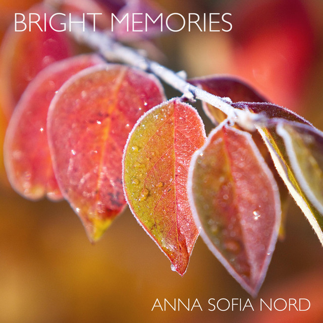 Bright Memories
