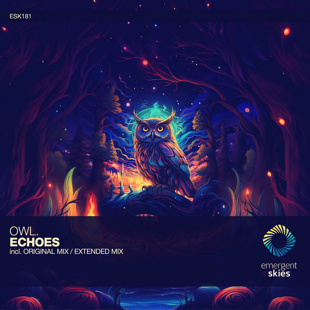 Echoes - Extended Mix album art