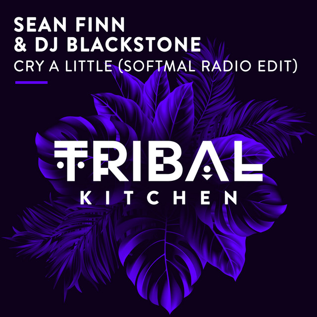Cry a Little - Softmal Radio Edit