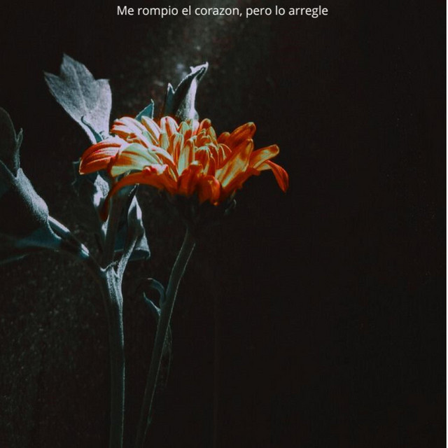 Me rompio el corazon, pero lo arregle
