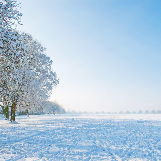 Snow cover art