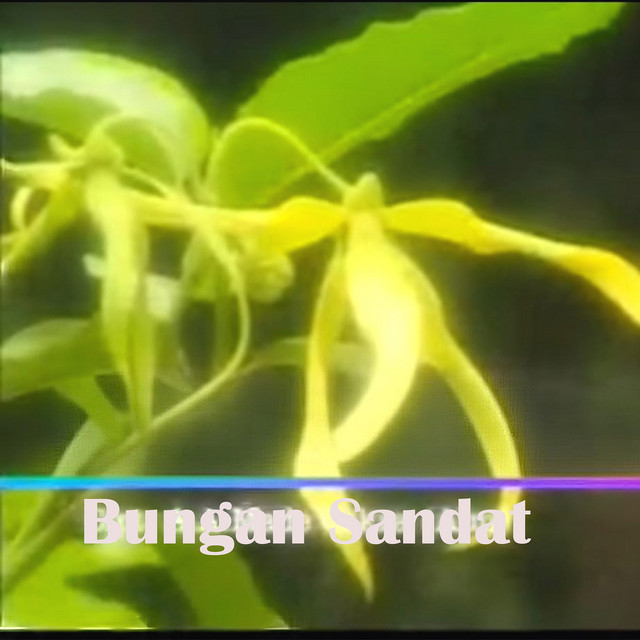 Gangsa Bali