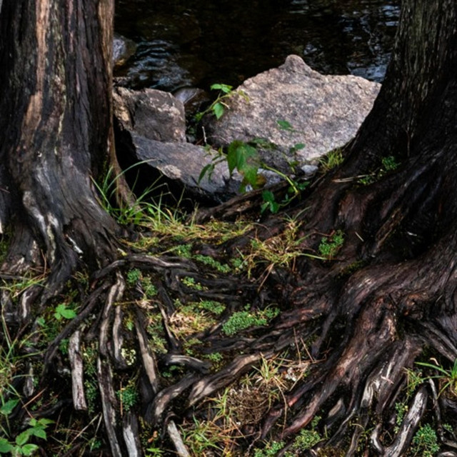 twisted cover art